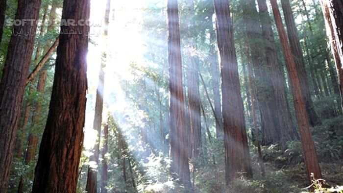 دانلود Planet Earth - The Complete Series by David Attenborough - دانلود مستند سیاره زمین - سافت گذر