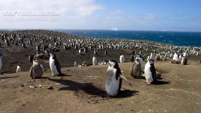 دانلود Planet Earth II - دانلود مستند سیاره زمین 2 با کیفیت عالی - سافت گذر