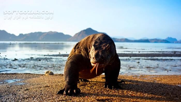 دانلود Planet Earth II - دانلود مستند سیاره زمین 2 با کیفیت عالی - سافت گذر