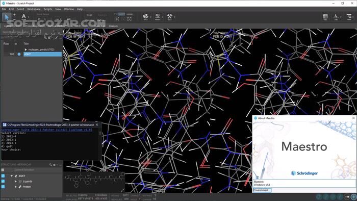 دانلود Schrodinger Suite 2025-2 (x64) - دانلود شبیه سازی مولکولی - سافت گذر