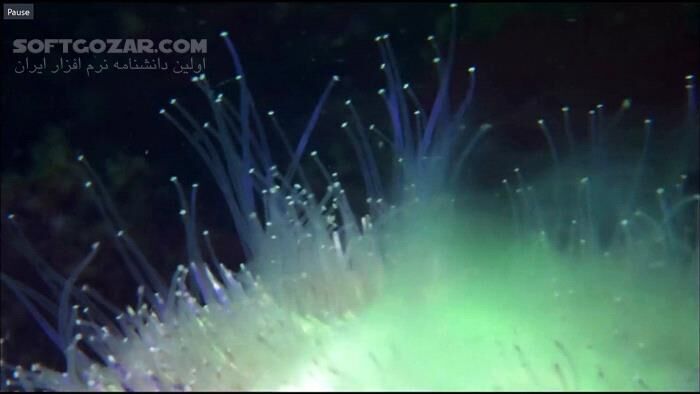 دانلود Secrets of the North Sea - دانلود مستند دریاها و اقیانوس ها - سافت گذر