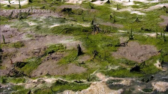 دانلود Secrets of the North Sea - دانلود مستند دریاها و اقیانوس ها - سافت گذر