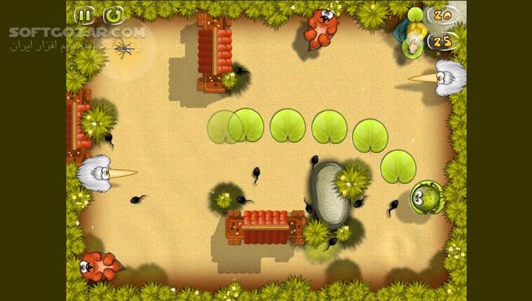دانلود Starving Frog - دانلود بازی قورباغه‌ی گرسنه - سافت گذر