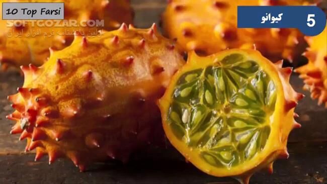 دانلود ویدئوی فارسی آشنایی با عجیب و غریب‌ترین میوه‌ها در دنیا - دانلود میوه های عجیب - سافت گذر