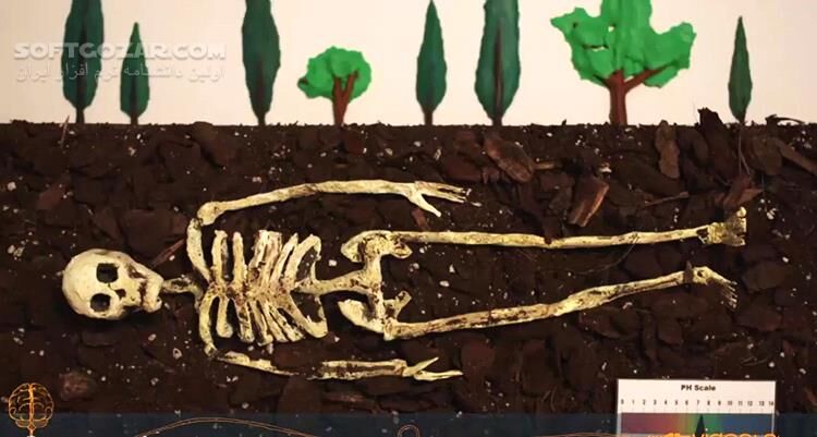 دانلود ویدئوی کوتاه با موضوع بعد از مرگ چه اتفاقی برای بدن ما می‌افتد؟! - دانلود پُربازدید‌ترین ویدئوهای سال - سافت گذر