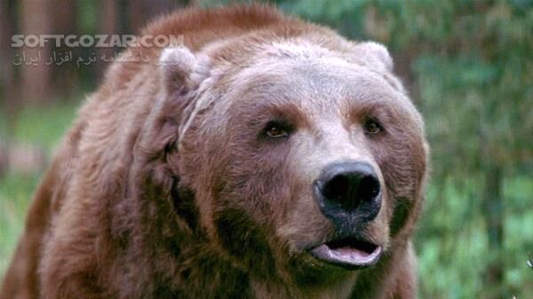 دانلود The Edge - دانلود لبه تیغ - سافت گذر