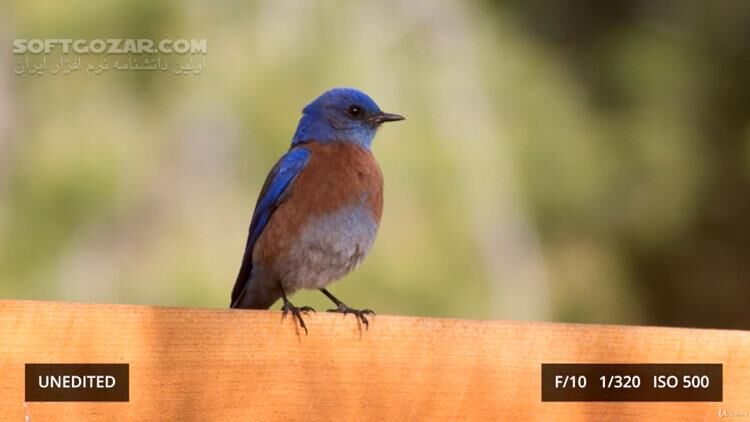 دانلود Udemy - Photography Masterclass A Complete Guide to Photography - دانلود دوره آموزش کامل عکاسی - سافت گذر