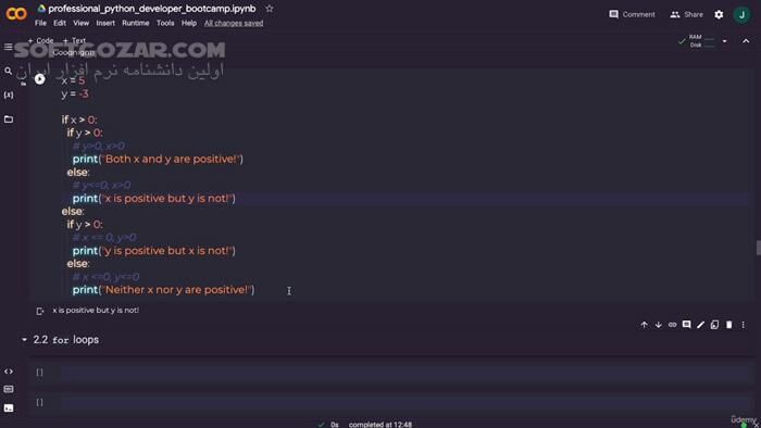 دانلود Professional Python Developer Bootcamp - دانلود آموزش پایتون سطح حرفه ای - سافت گذر