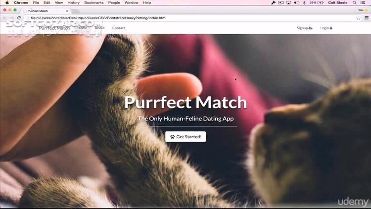 دانلود Udemy - The Web Developer Bootcamp 2022 - دانلود آموزش کامل توسعه وب - سافت گذر