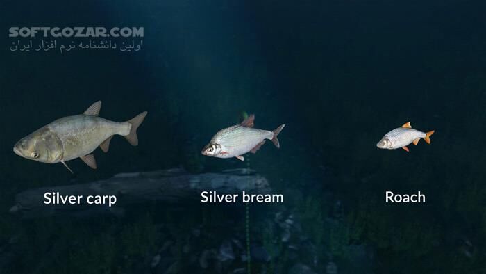 دانلود Ultimate Fishing Simulator - Thailand - دانلود بازی شبیه ساز ماهیگیری - سافت گذر