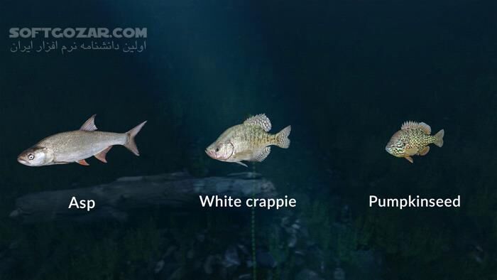 دانلود Ultimate Fishing Simulator - Thailand - دانلود بازی شبیه ساز ماهیگیری - سافت گذر