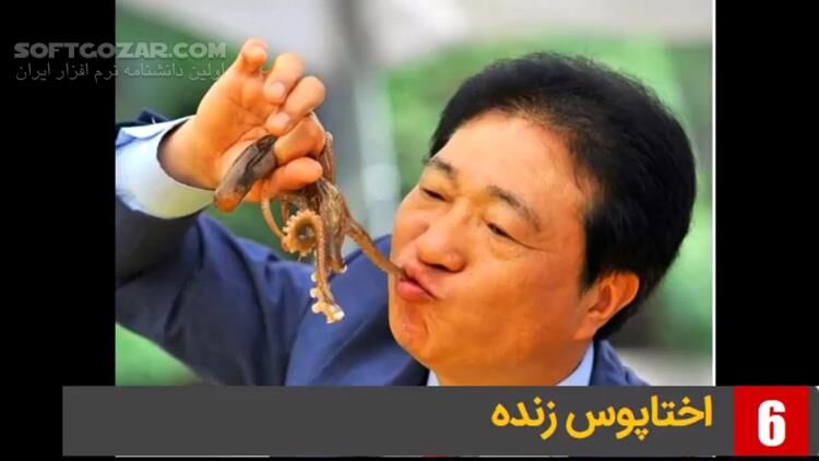 دانلود ویدئوی فارسی معرفی 14 غذای عجیب و غریب از کشورهای مختلف - دانلود عجیب ترین غذاهای دنیا - سافت گذر