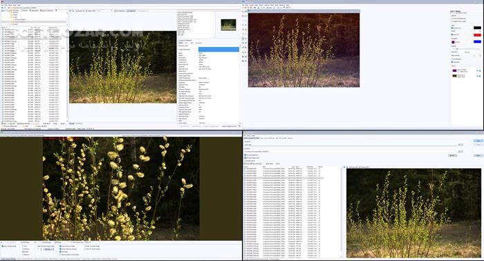 دانلود WildBit Viewer 6.18 Commercial - دانلود نرم‌افزار مشاهده و ویرایش عکس‌ - سافت گذر