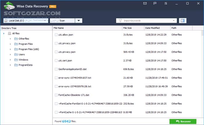 دانلود Wise Data Recovery Pro 6.2.2.520 - دانلود ریکاوری انواع فایل ها - سافت گذر