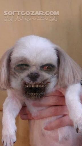 دانلود ZombieBooth 4.41 / 2 1.1.7 for Android +2.3 - دانلود چهره خود را زامبی کنید! برای اندروید - سافت گذر