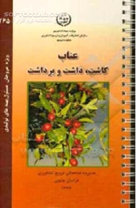 دانلود خاصیت دارویی عناب - دانلود کتاب درخت عناب - سافت گذر