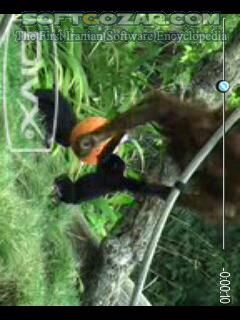 دانلود DivX player - دانلود پخش فیلم های Divx برای گوشی های سری 60 ورژن3 برای اندروید - سافت گذر