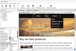 دانلود Ambiera RocketCake Professional 6.4.1