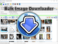دانلود Bulk Image Downloader 6.58
