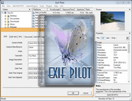 دانلود Exif Pilot 6.28.2