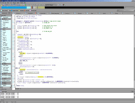 دانلود IDA Pro 9.0.240925