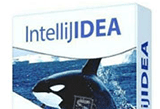 دانلود JetBrains IntelliJ IDEA Ultimate 2025.2.1 Win/Mac/Linux