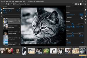 دانلود NeeView 44.1