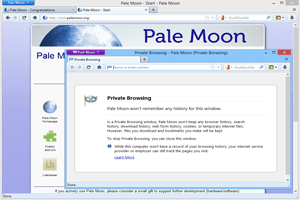 دانلود Pale Moon 33.9.1
