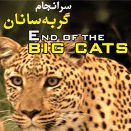 دانلود مستند کامل گربه سانان بزرگ با دوبله فارسی
