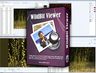 دانلود WildBit Viewer 6.18 Commercial