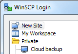 دانلود WinSCP 6.5.5 + Portable